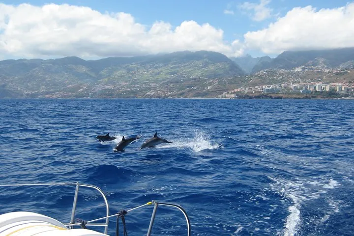 Seaborn Catamaran trips, photo 7
