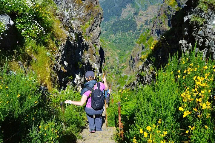 Madeira Peaks - Mountain Walk, photo 7