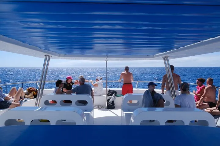 Top deck shade area