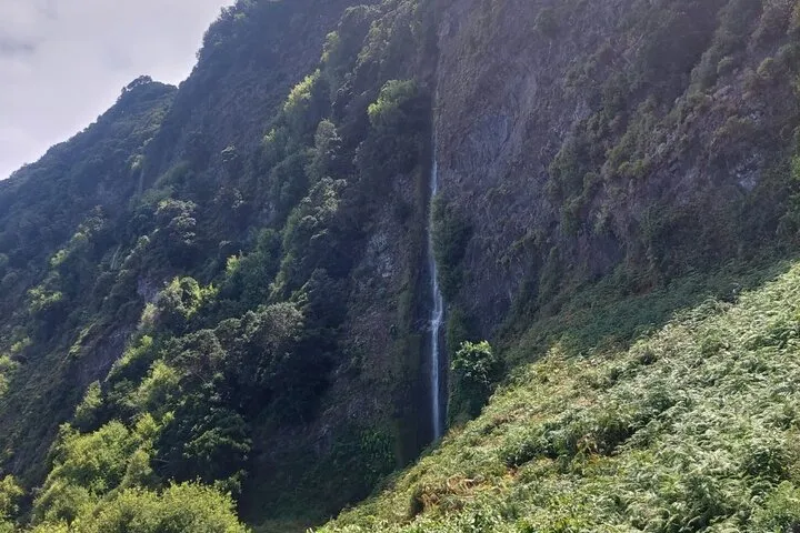 West Madeira 4x4 Adventure,Porto Moniz,Mistic Forest , views .&, photo 7