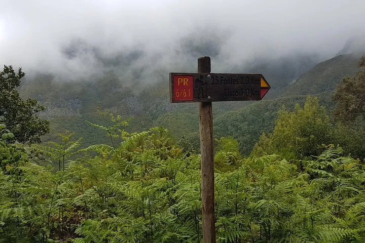 Private Guided Walk Levada 25 Fontes, photo 7