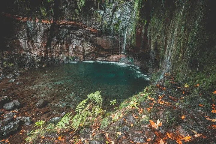 25 Fountains Levada: Hiking Tour in Madeira Rabaçal Valley (PR6), photo 7
