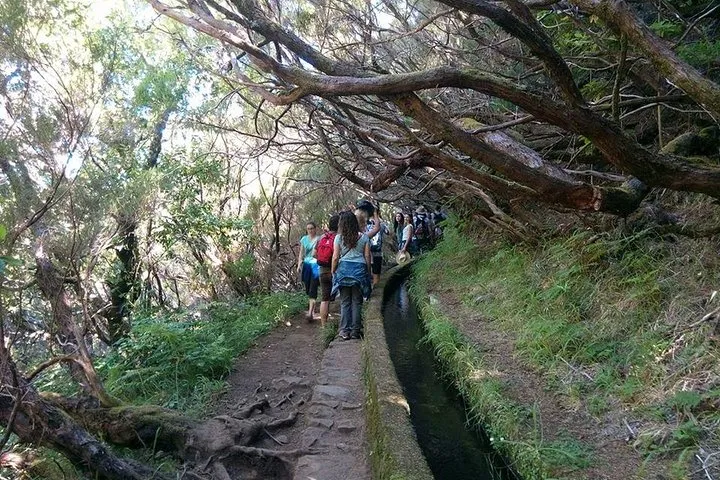 Levada do Rabaçal / 25 Fontesl