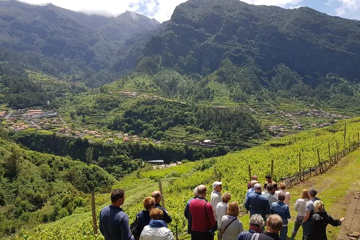 Signature Wine Tastings, Skywalk, Nature 4x4 Open Roof Expedition, photo 8