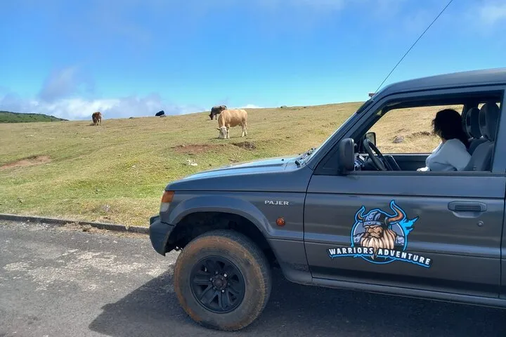 Madeira 4x4 Jeep Safari : Porto Moniz, Lava Pools & Fanal Forest, photo 8