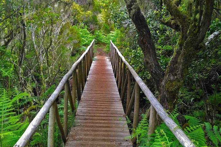 Fanal Assobiadores - Mountain Walk, photo 8