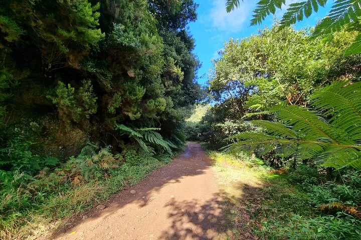 Private 4x4 Jeep Full Day Porto Moniz or Santana, photo 8
