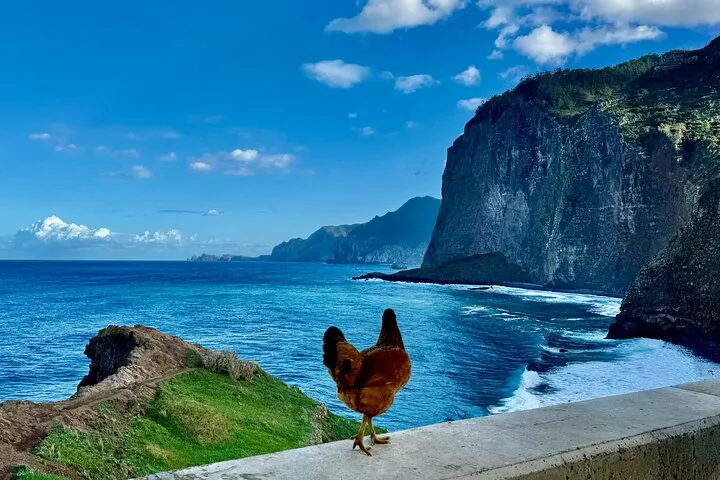 4x4 Jeep Tour to East & Northeast of Madeira, photo 9