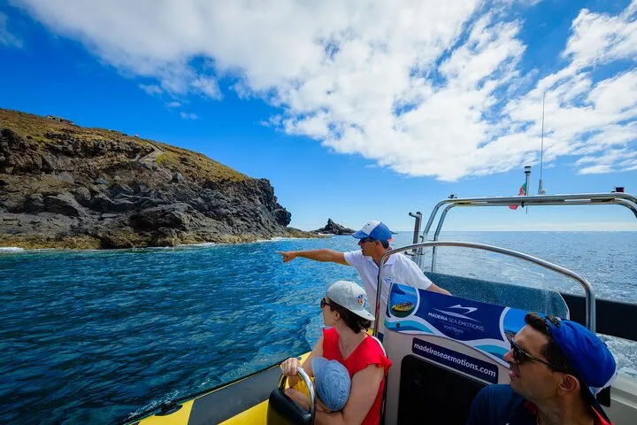 Whale & Dolphin Watching in Madeira, photo 9