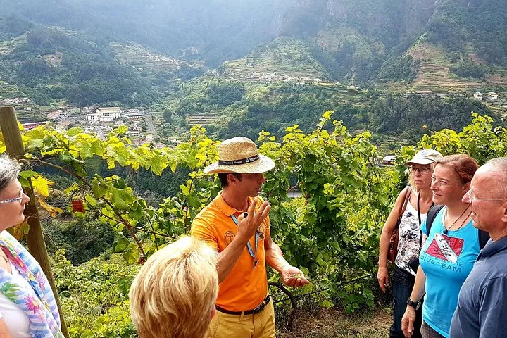 Signature Wine Tastings, Skywalk, Nature 4x4 Open Roof Expedition, photo 9