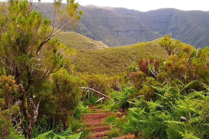 Fanal Assobiadores - Mountain Walk, photo 9
