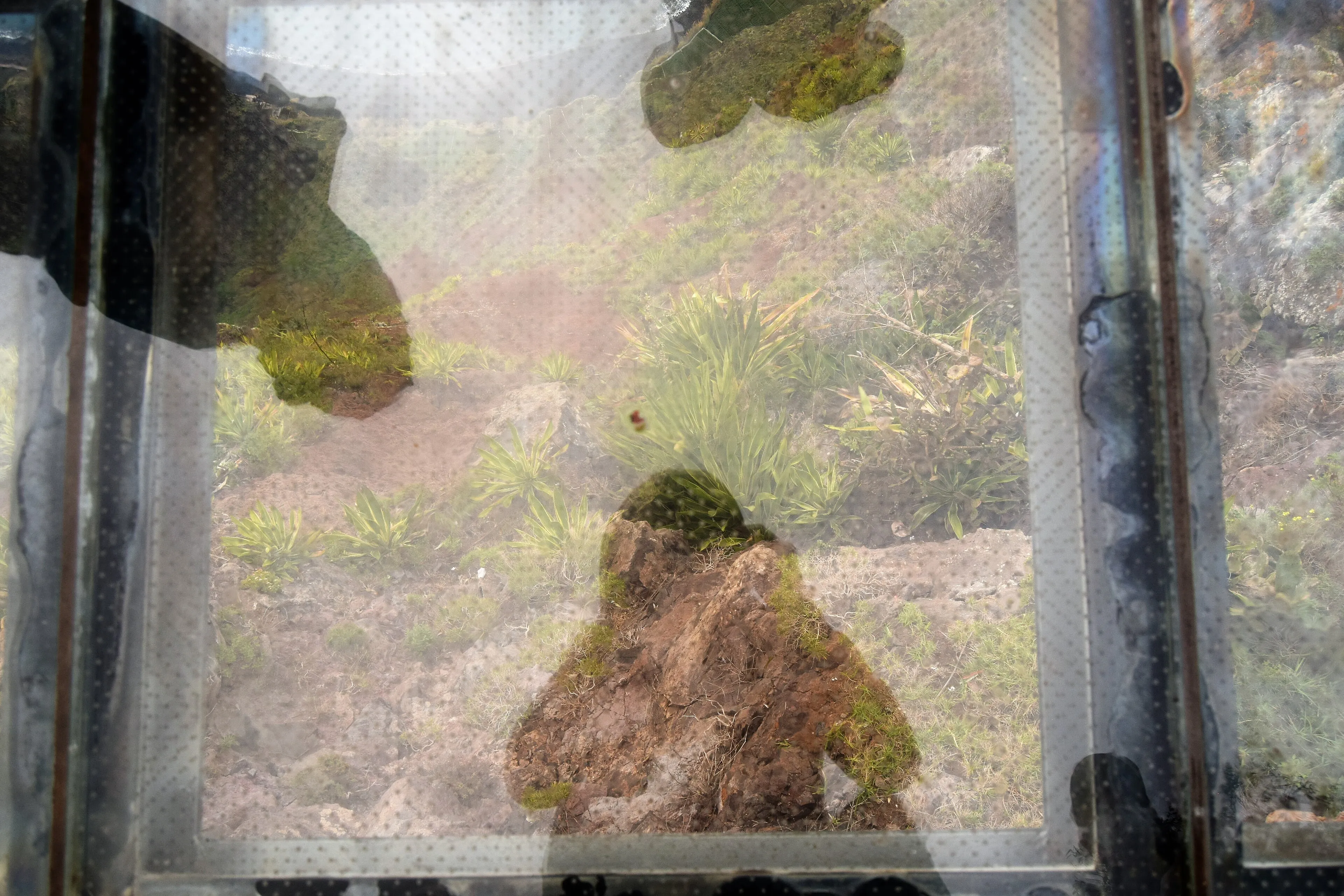 Looking down through the glass floor of the Cabo Girão skywalk