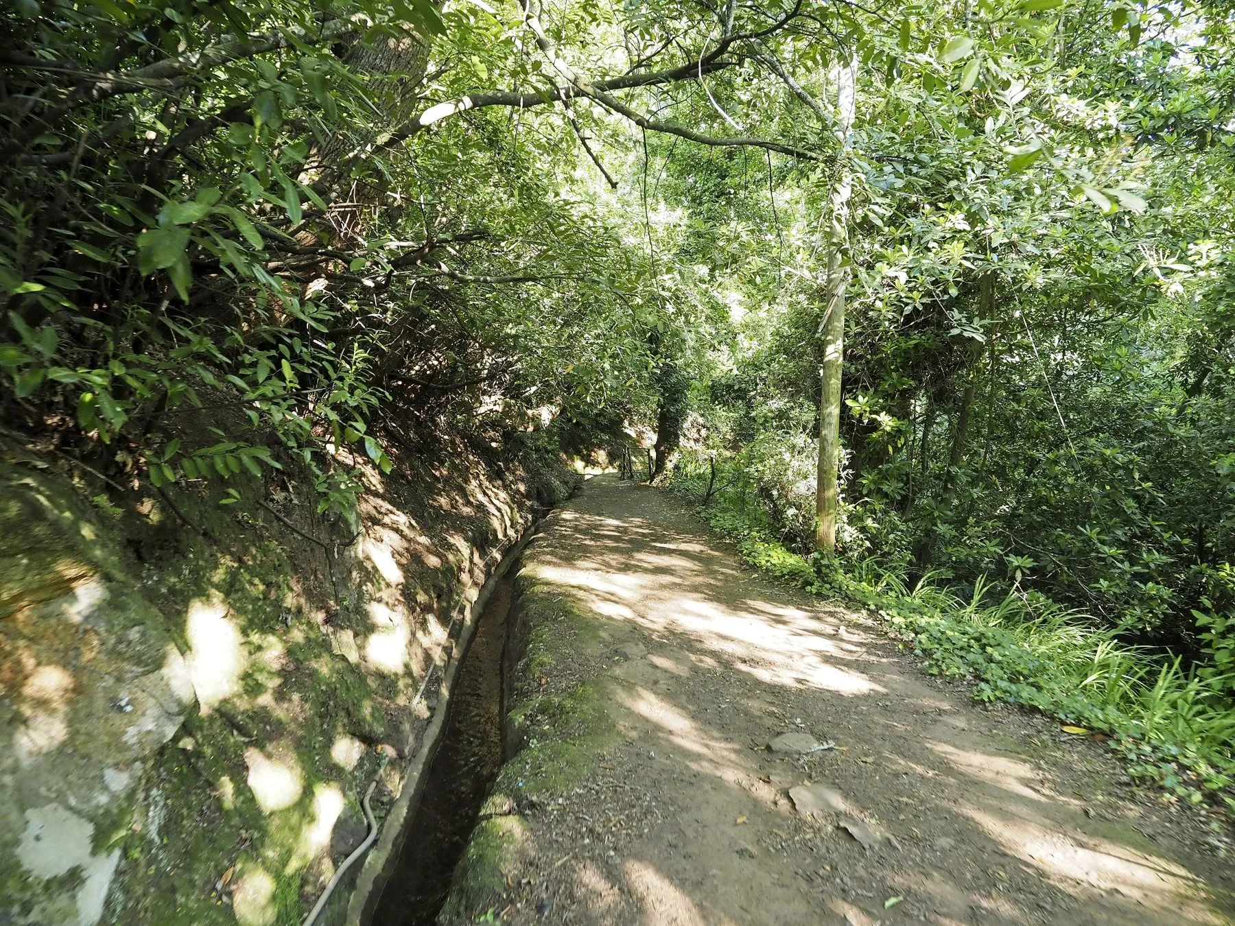Vereda dos Balcões, PR 11