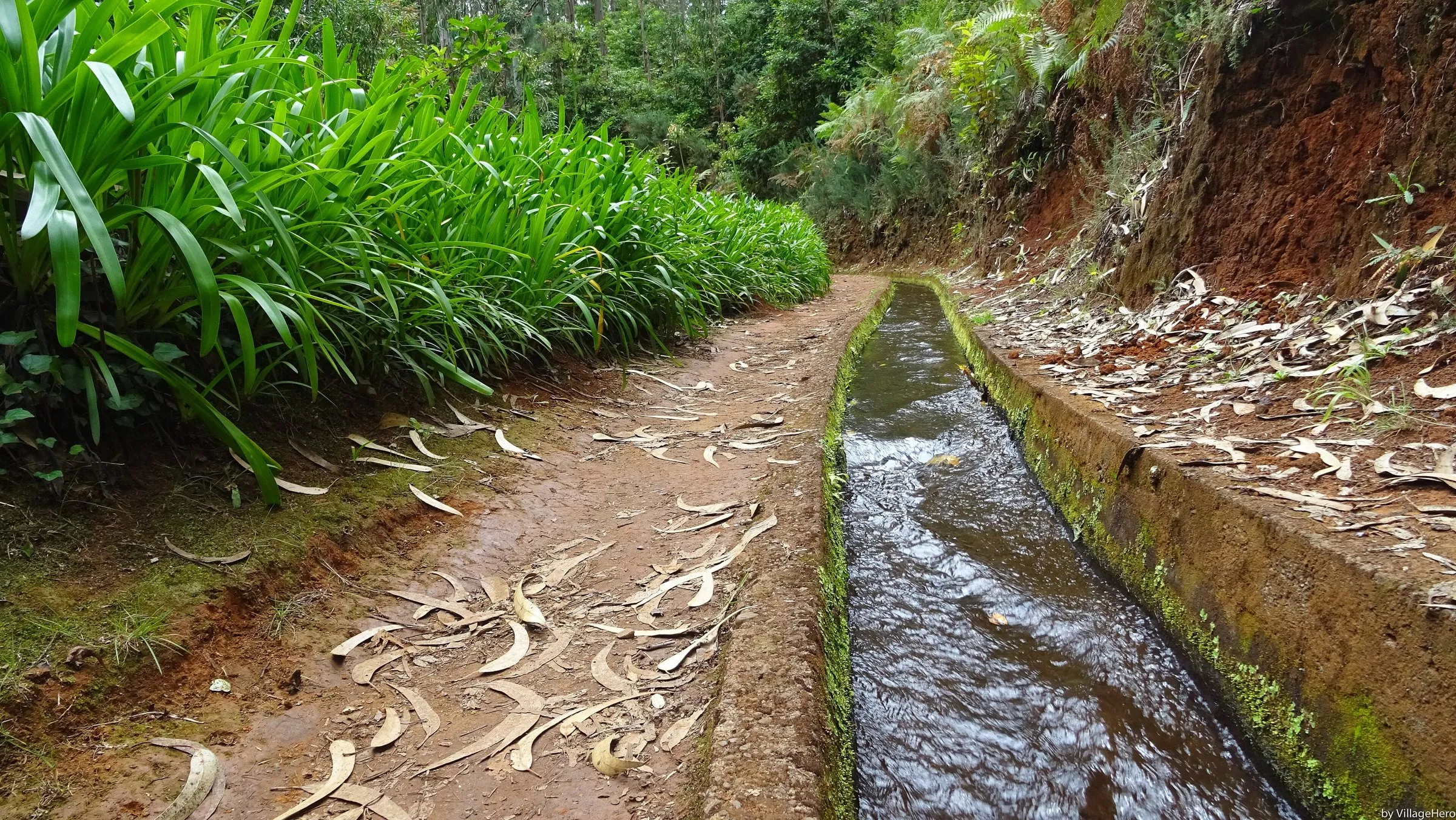 Levada do Rei, PR 18