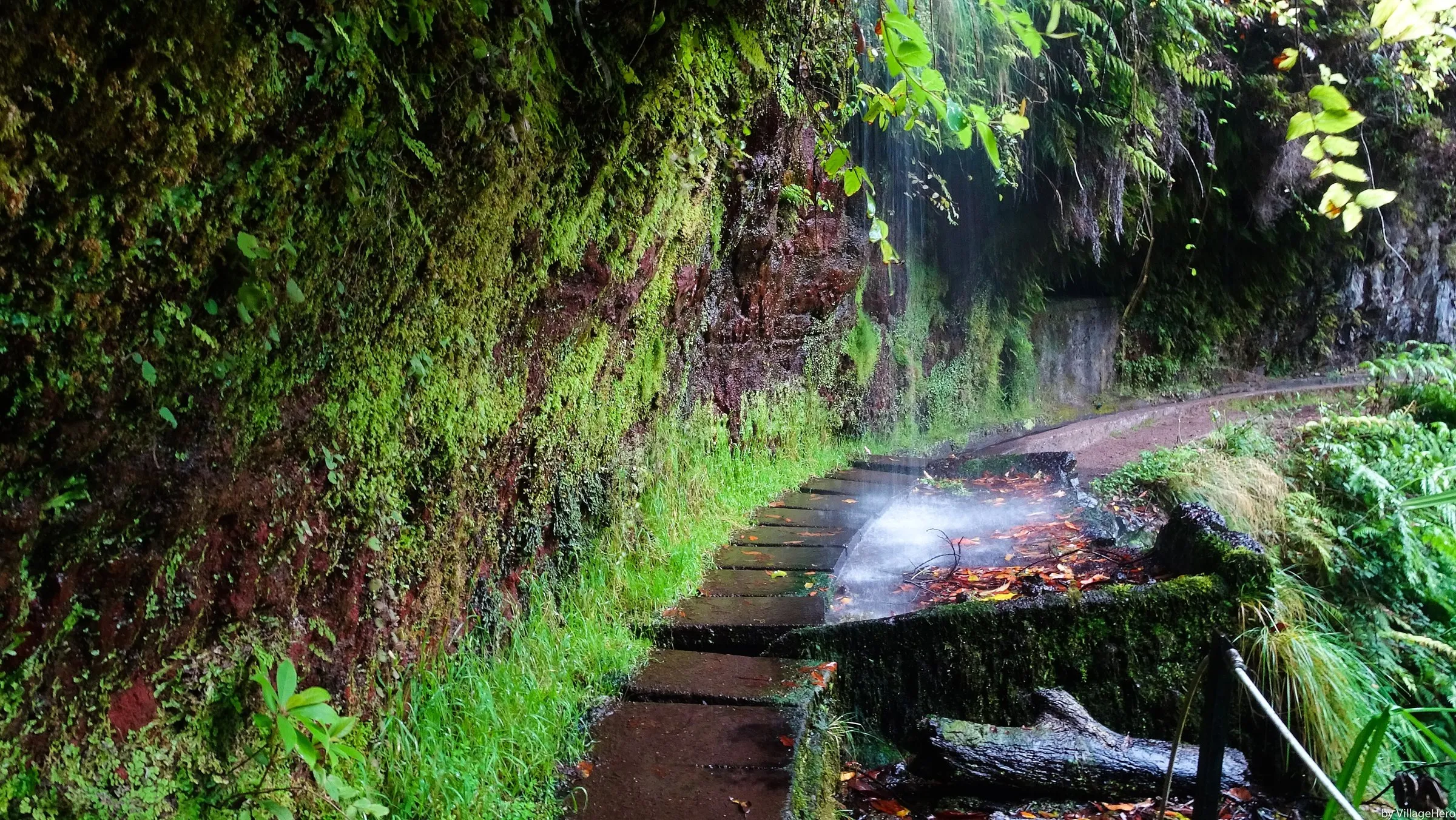 Levada do Rei, PR 18