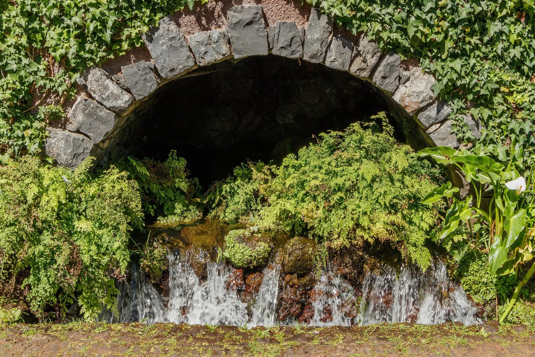 A fountain in the Monte Palace Tropical Garden