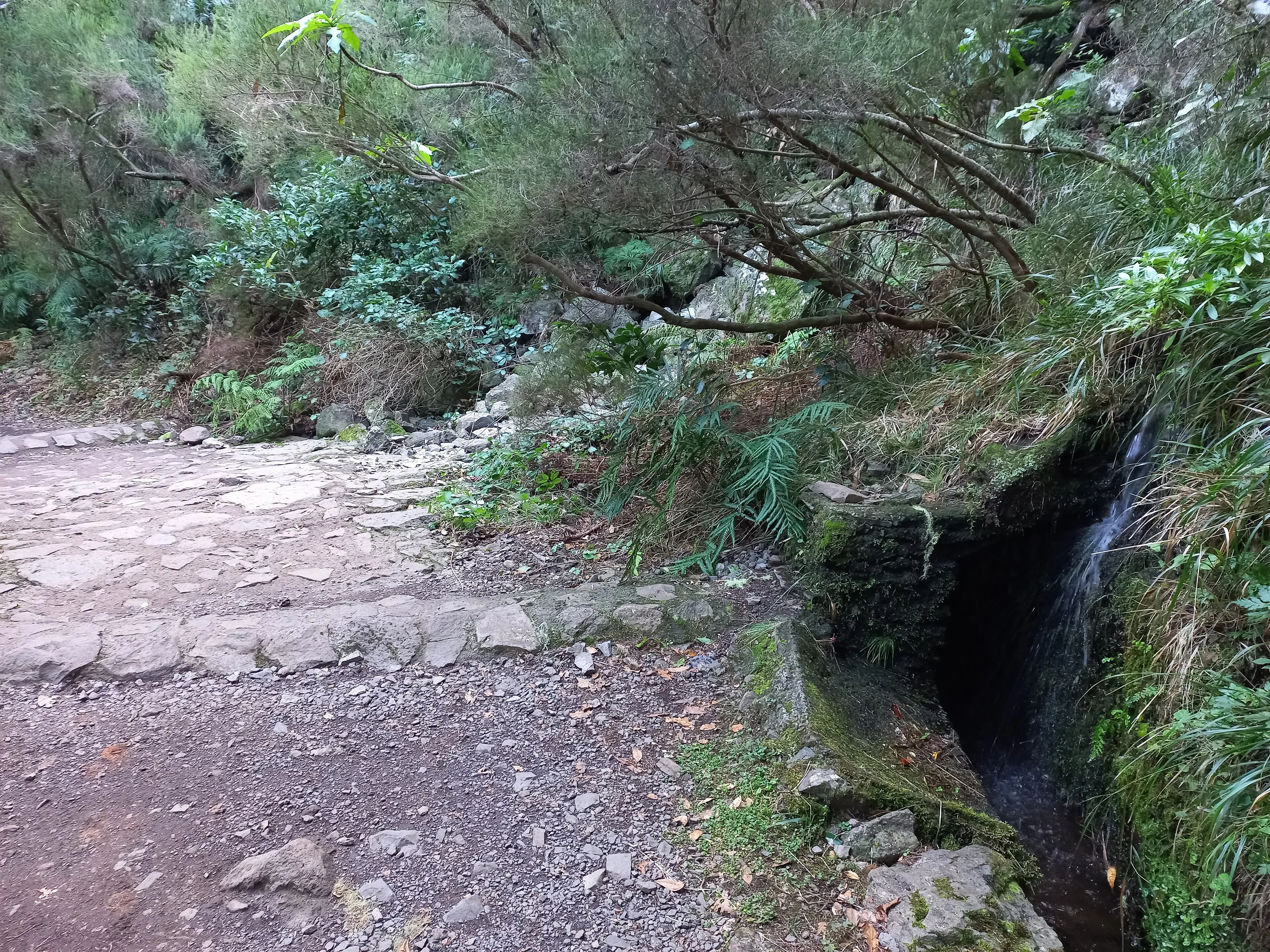 The Levada do Risco path at Rabaçal