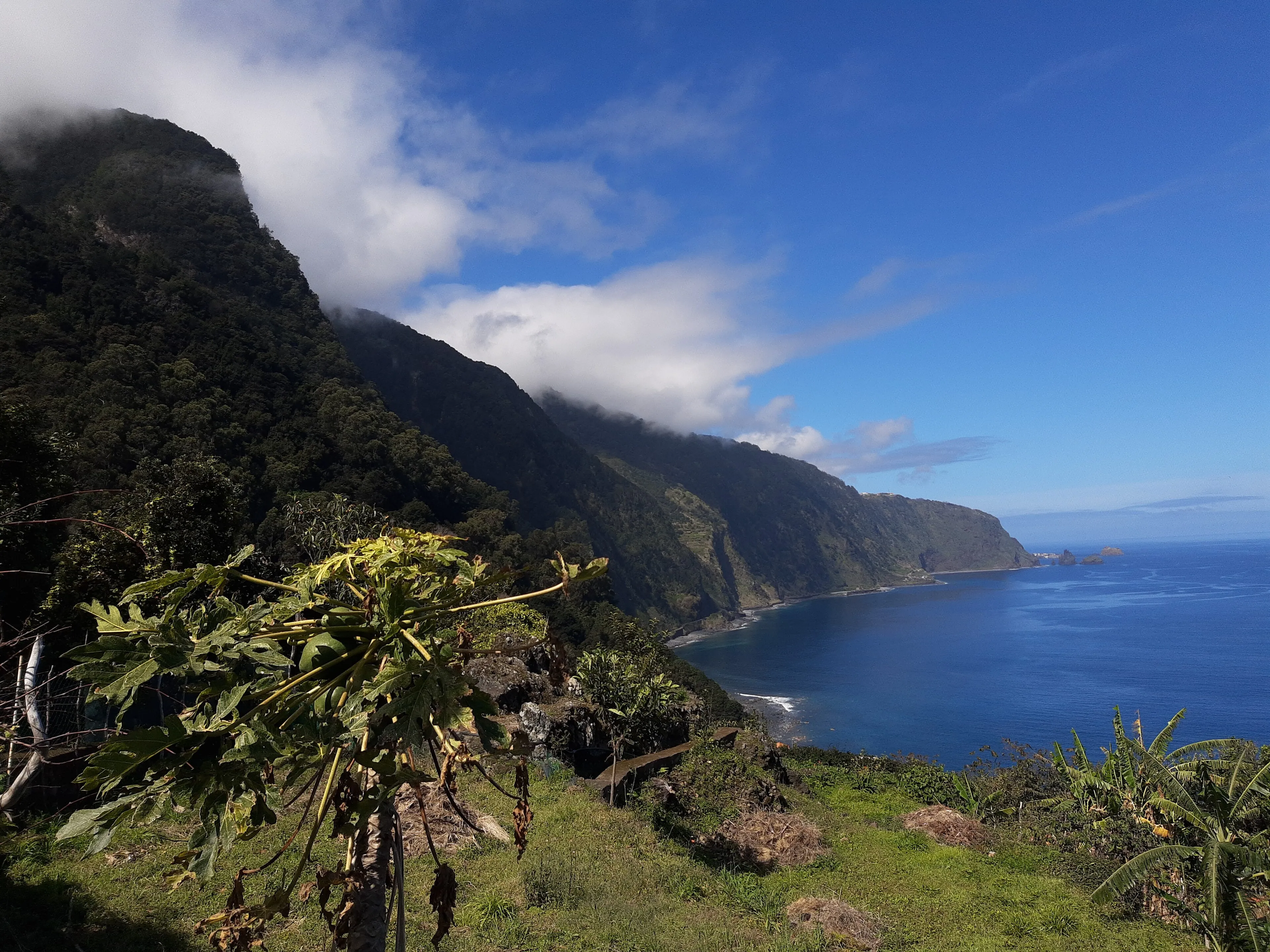 The north coast at Seixal seen from the mountain road