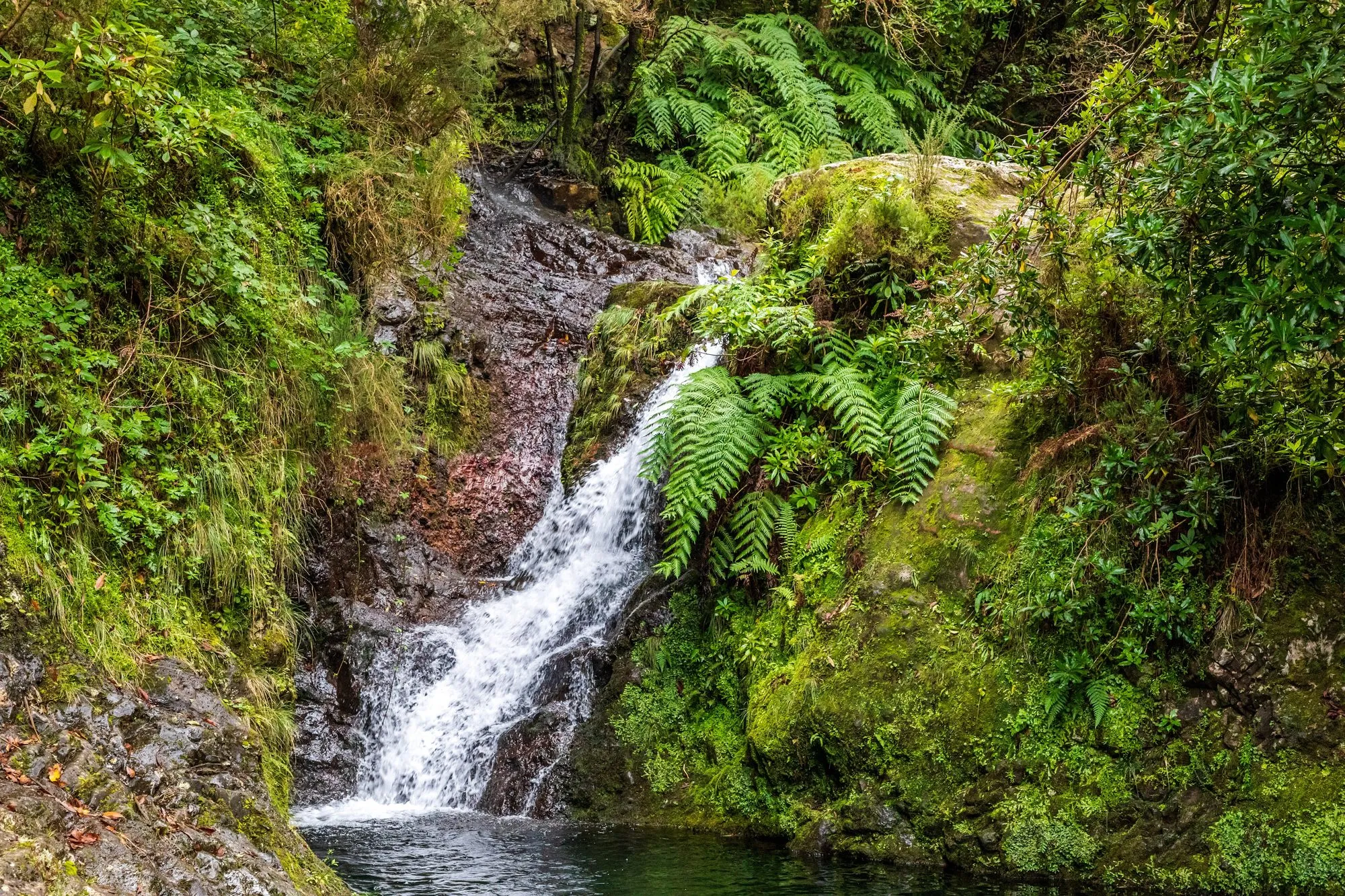 Waterfall at Ribeiro Frio